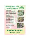 FUNGHEX  SULFO 12x200 ML-1 - 025026