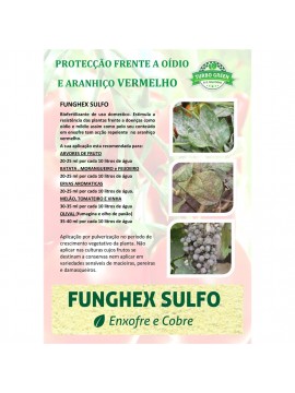 FUNGHEX  SULFO 12x50 ML-1 - 025018