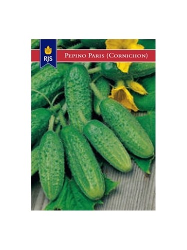 RJS PEPINO DE PARIS CORNICHON (079) - 001087