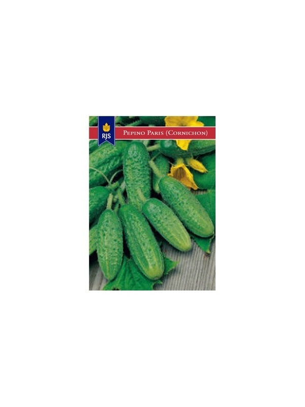 RJS PEPINO DE PARIS CORNICHON (079) - 001087