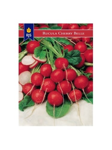 RJS RABANETE CHERRY BELLE (059) - 001094