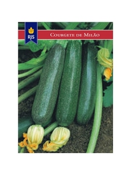 RJS COURGETES MILAO (066) - 001034