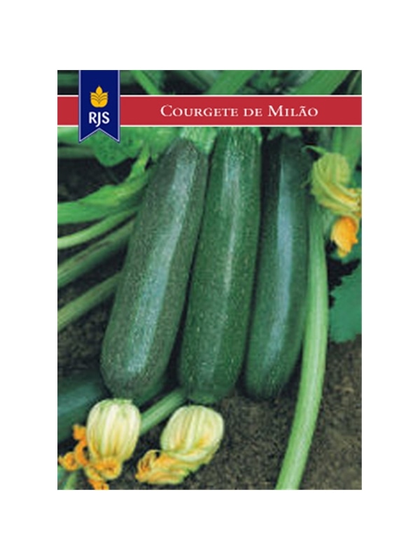 RJS COURGETES MILAO (066) - 001034