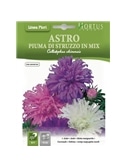 HORTUS - SECIA PLUMA DE AVESTRUZ MIX (A124) - 089611