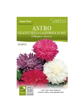 HORTUS - SECIA PRINCESA MIX (A144) - 089613