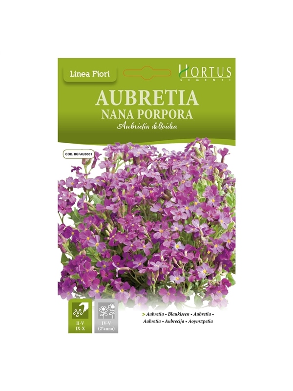HORTUS - AUBRETIA RASTEIRA ROXA (A174) - 089615