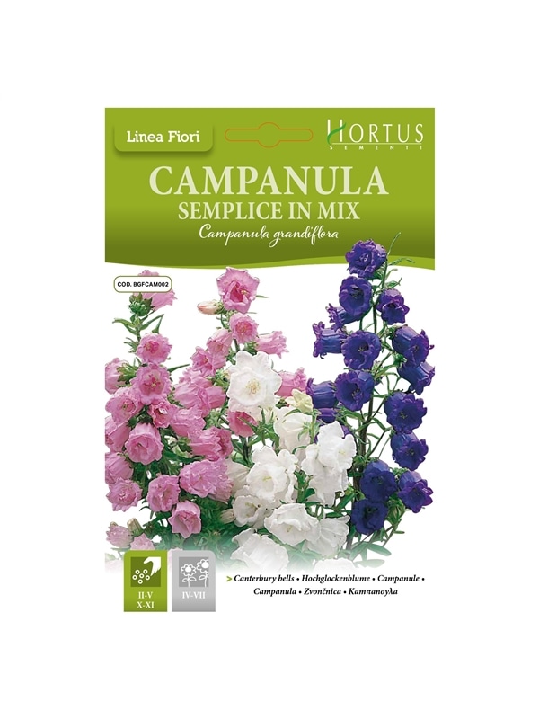 HORTUS - CAMPANULA MIX (C084) - 089623