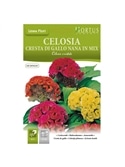 HORTUS - CELOSIA CRISTA DE GALO RASTEIRA MIX (C114) - 089626