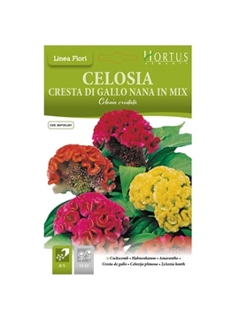 HORTUS - CELOSIA CRISTA DE GALO RASTEIRA MIX (C114) - 089626