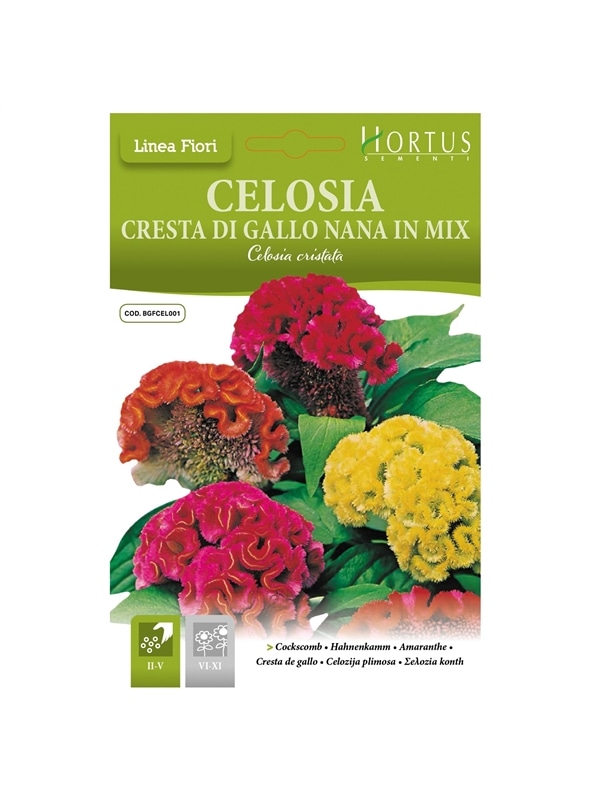HORTUS - CELOSIA CRISTA DE GALO RASTEIRA MIX (C114) - 089626