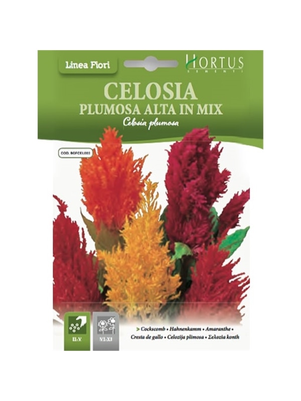 HORTUS - CELOSIA PLUMOSA ALTA MIX (C124) - 089827