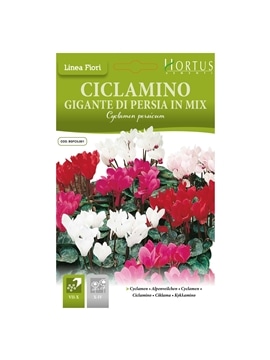 HORTUS - CICLAME GIGANTE MIX (C154) - 089831