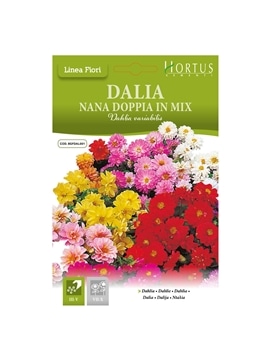 HORTUS - DALIAS RASTEIRAS DOBRADAS MIX (D014) - 089635