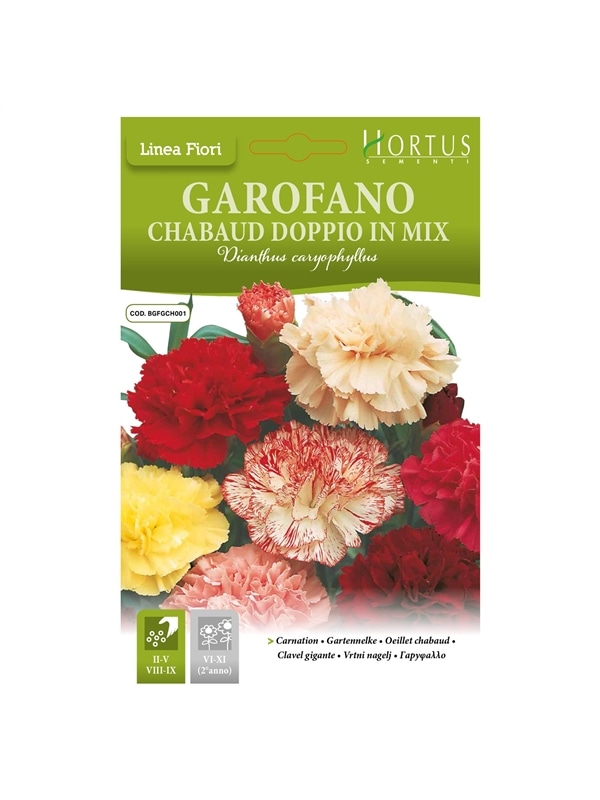 HORTUS - CRAVO CHAUBAUD DOBRADO MIX (G044) - 089642