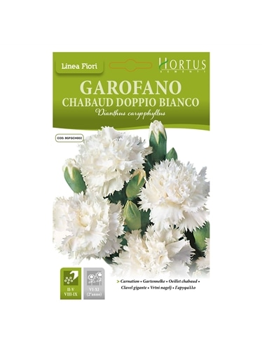 HORTUS - CRAVO CHAUBAUD DOBRADO BRANCO (G044) - 089643