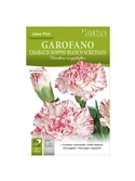 HORTUS - CRAVO CHAUBAUD DOBRADO ESTRIADO (G064) - 089644