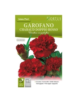 HORTUS - CRAVO CHAUBAUD DOBRADO VERMELHO (G074) - 089645