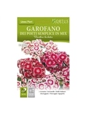 HORTUS - CRAVO POETA SIMPLES MIX (G084) - 089646