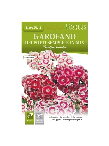 HORTUS - CRAVO POETA SIMPLES MIX (G084) - 089646