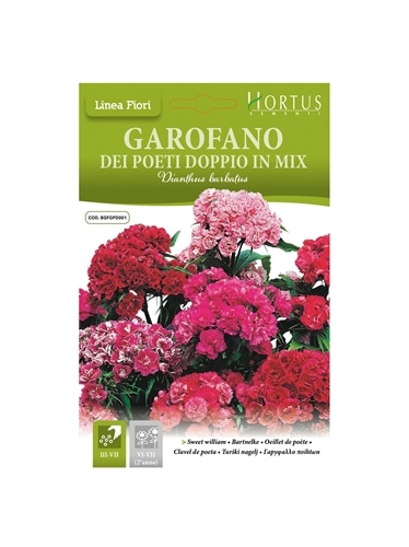 HORTUS - CRAVO POETA DOBRADO MIX (G094) - 089647