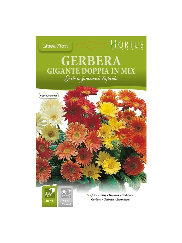 HORTUS - GERBERA GIGANTE DOBRADA MIX (G124) - 089650