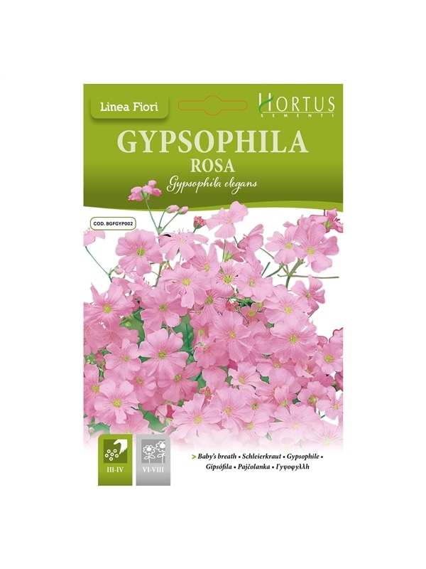 HORTUS - GIPSOFILA ROSA (G154) - 089652