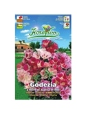 HORTUS - GODETEA FLOR DE AZALIA MIX (G174) - 089654