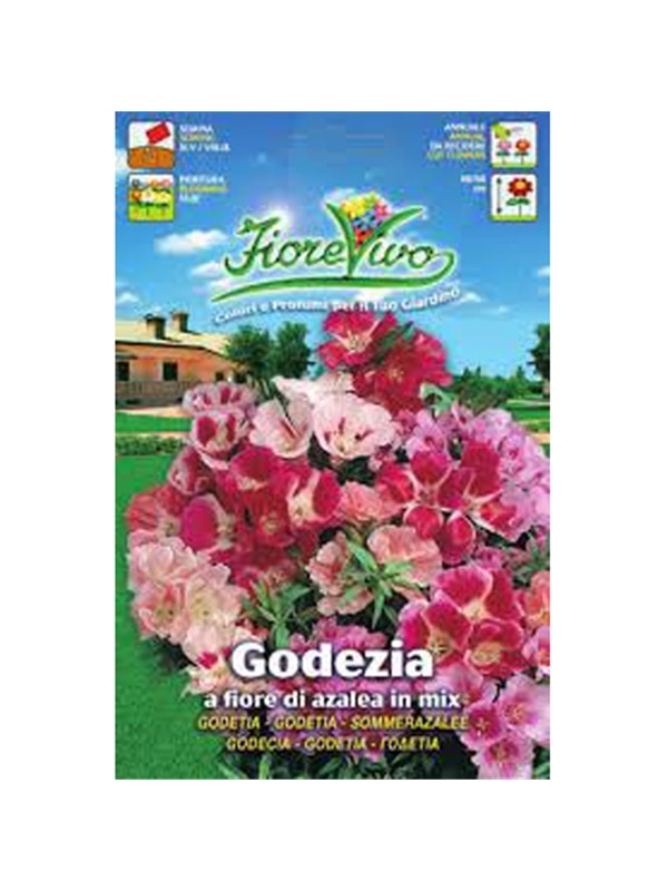 HORTUS - GODETEA FLOR DE AZALIA MIX (G174) - 089654