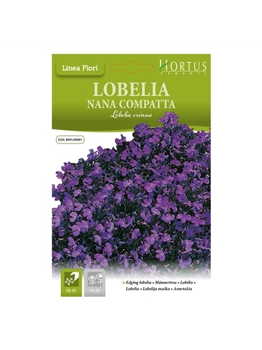 HORTUS - LOBELIA RASTEIRA COMPACTA (L024) - 089660