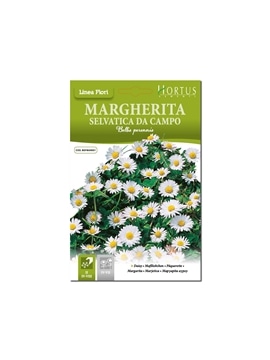 HORTUS - MARGARIDA SELVAGEM (M024) - 089664