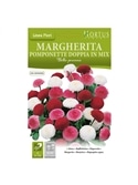 HORTUS - MARGARIDA POMPOM DOBRADA MIX (M044) - 089666