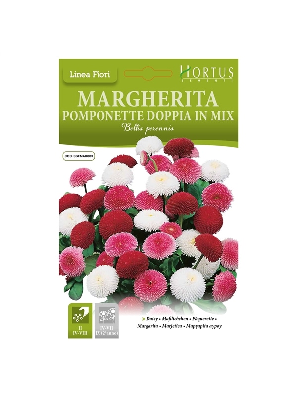 HORTUS - MARGARIDA POMPOM DOBRADA MIX (M044) - 089666