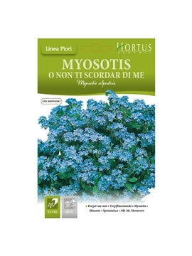 HORTUS - MIOSOTIS (M074) - 089669
