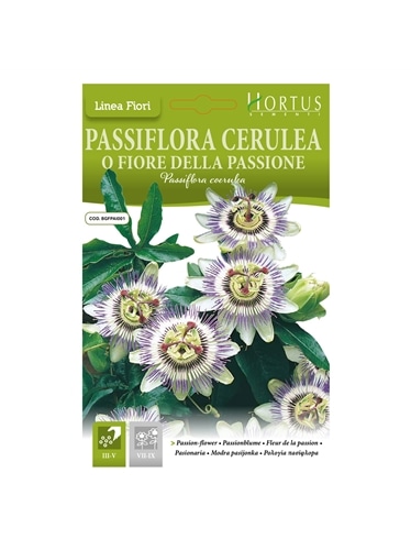 HORTUS - FLOR DE MARACUJA (P014) - 089677