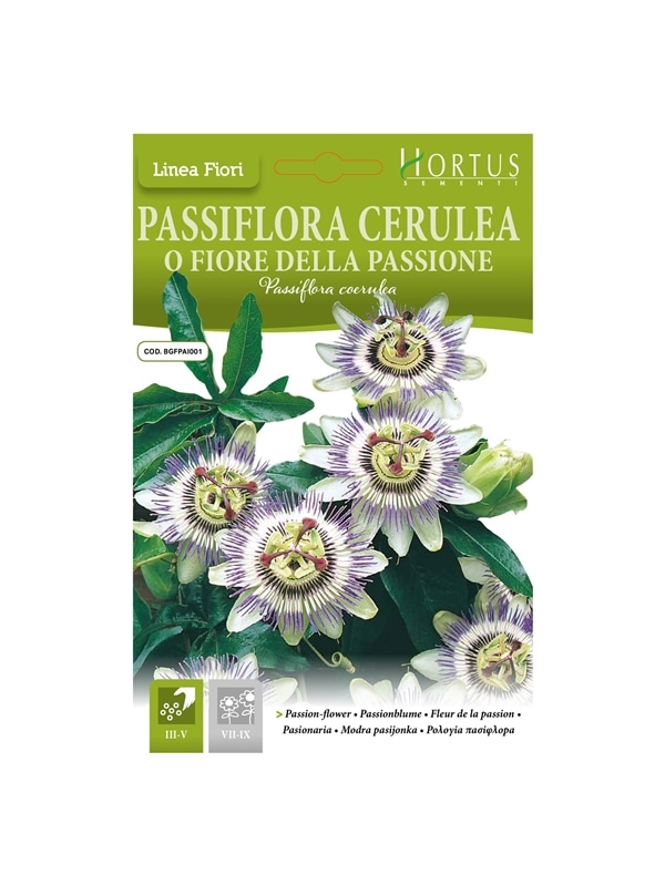 HORTUS - FLOR DE MARACUJA (P014) - 089677