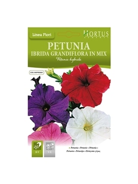 HORTUS - PENUNIA HIBRIDA GRANDIFLORA MIX (P034) - 089679
