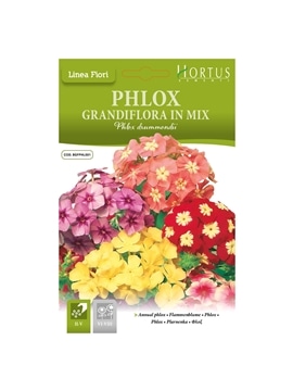 HORTUS - FILOX GRANDIFLORA MIX (P064) - 089682