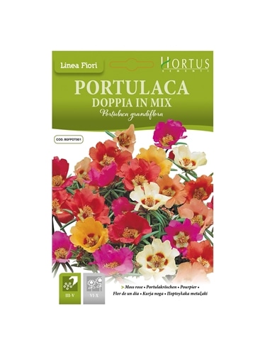 HORTUS - PORTULACA DOBRADA MIX (P084) - 089684