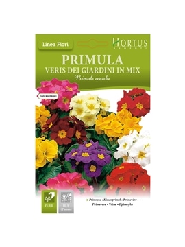 HORTUS - PRIMULA MIX (P104) - 089685