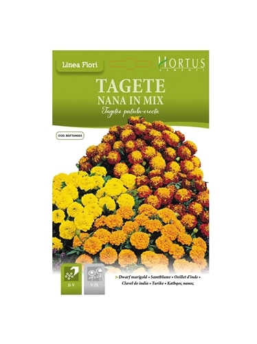 HORTUS - CRAVOS TUNICOS MIX BAIXOS (T054) - 089701