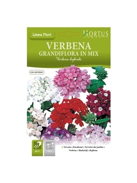 HORTUS - VERBENAS GRANDIFLORA MIX (V014) - 089702