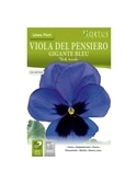 HORTUS - AMOR PERFEITO AZUL (V034) - 089704