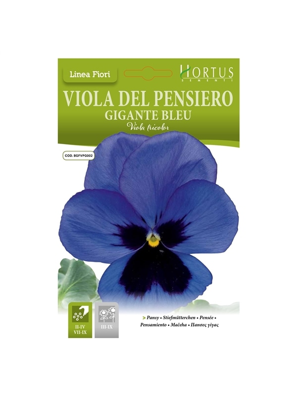 HORTUS - AMOR PERFEITO AZUL (V034) - 089704