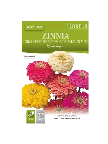 HORTUS - ZINIA FLOR DE DALIA MIX (Z014) - 089710