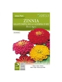 HORTUS - ZINIA CALIFORNIA MIX (Z024) - 089711