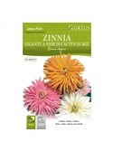 HORTUS - ZINIA CACTUS MIX (Z044) - 089713