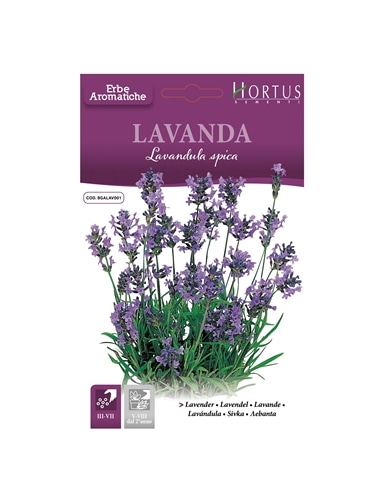 HORTUS - LAVANDA (0165) - 089729