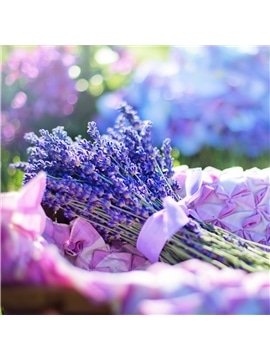 HORTUS - LAVANDA (0165) - 089729