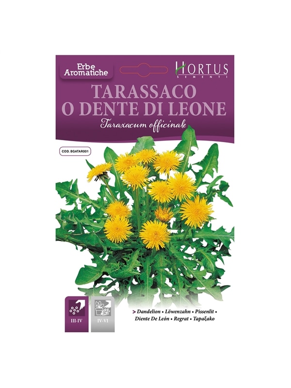 HORTUS - DENTE DE LEAO (0265) - 089738