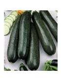 CCS COURGETTE BELEZA NEGRA (013095) - 089166